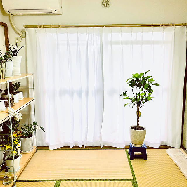 hanachanさんの実例写真