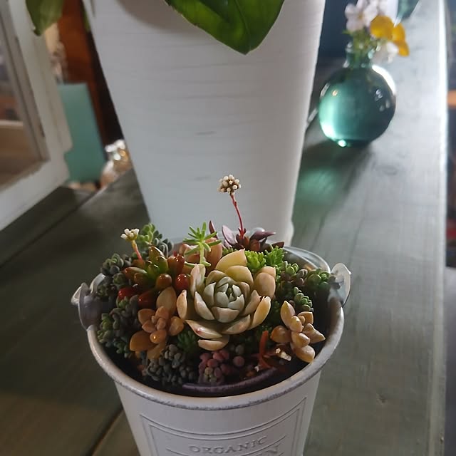 murasaki808さんの実例写真