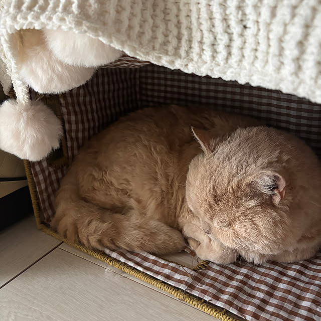 naokoさんの実例写真