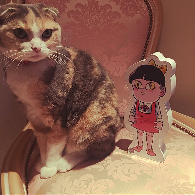 Mari-aさんの実例写真
