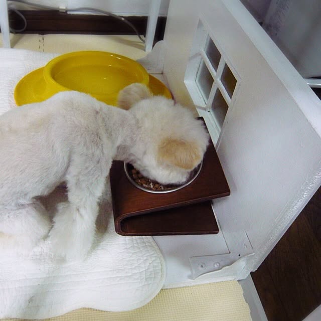 ksyanさんの実例写真