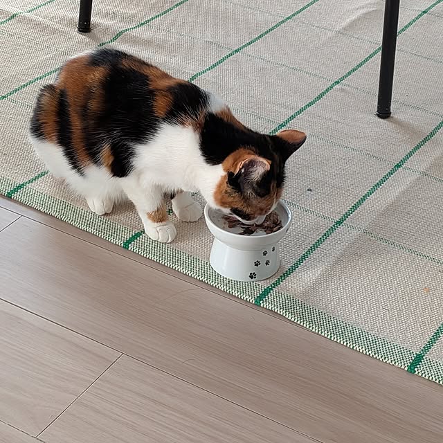 sinsinさんの部屋