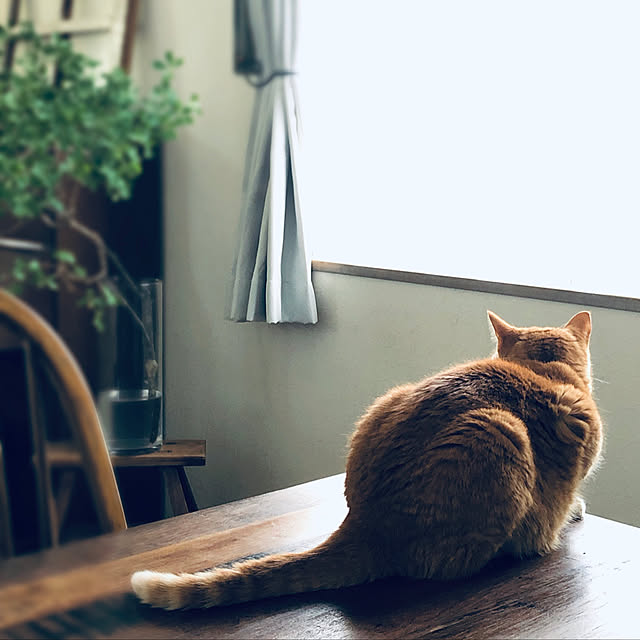 Yuukopeeeさんの実例写真