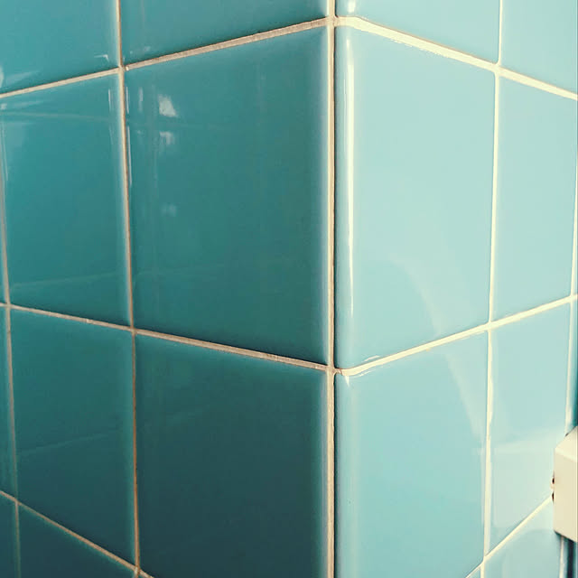 auraさんの実例写真