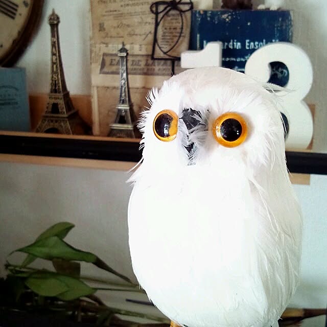 nanakoさんの実例写真