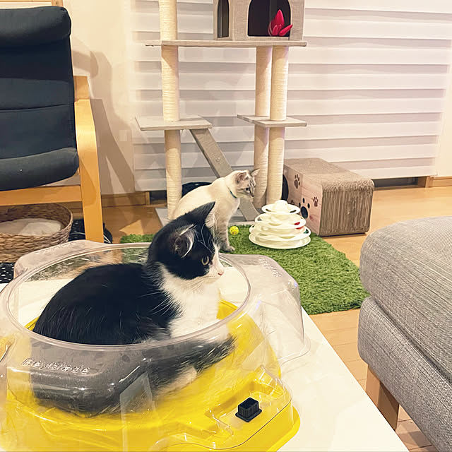 yu-さんの実例写真