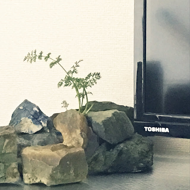 mkさんの実例写真