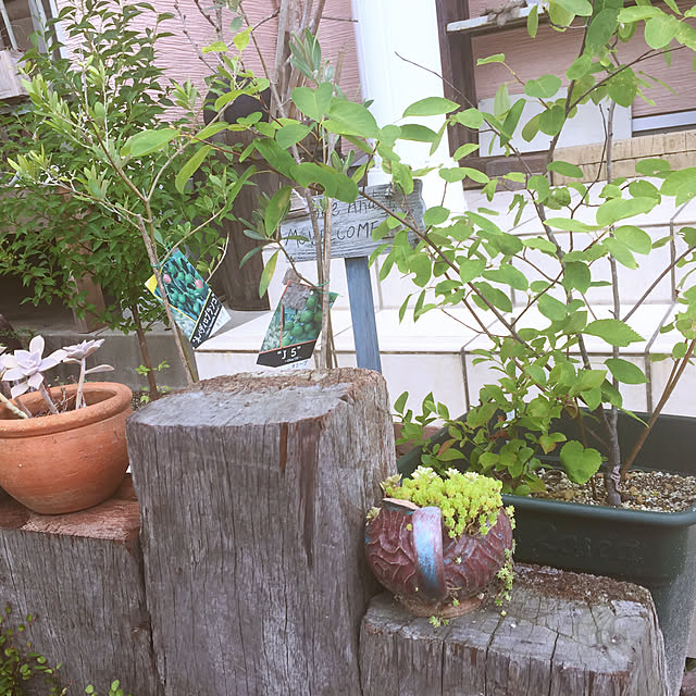 JjJjさんの実例写真