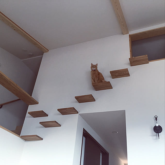 hanaさんの実例写真