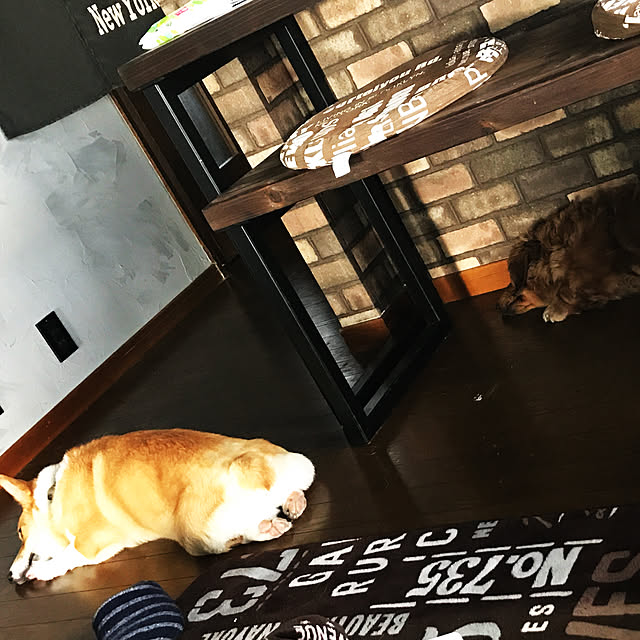 genkiさんの実例写真