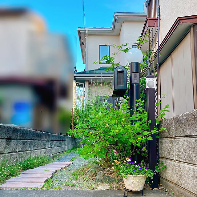 akanekoさんの実例写真