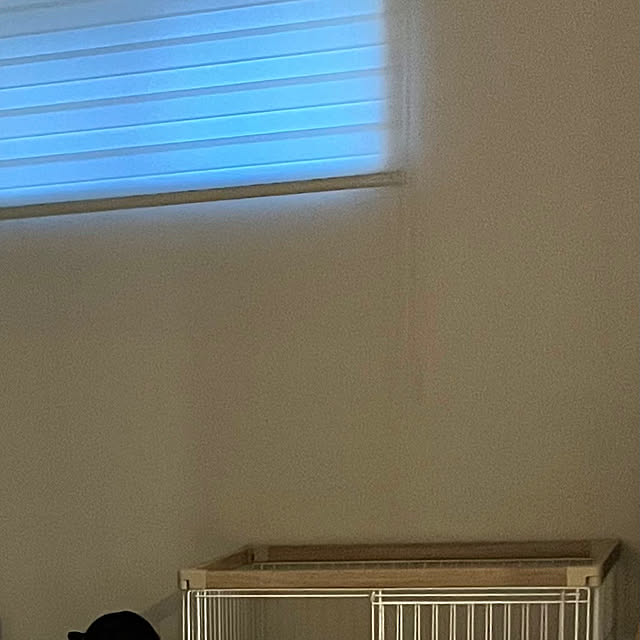 mari50さんの部屋