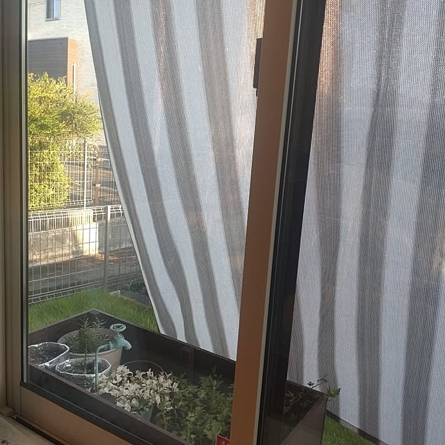 tan5さんの実例写真