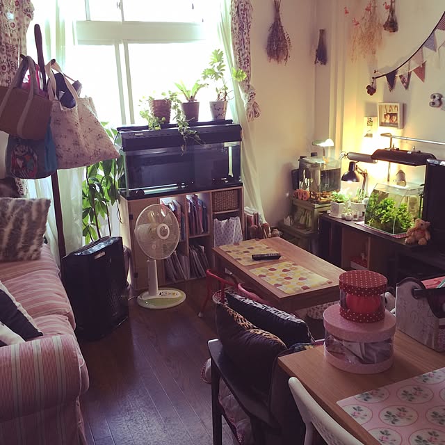 erinyanさんの実例写真
