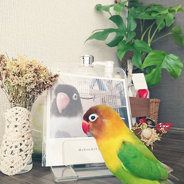 s.p.sunaoさんの実例写真