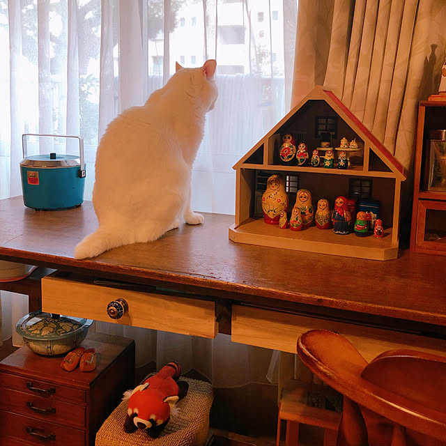 amifuuさんの実例写真