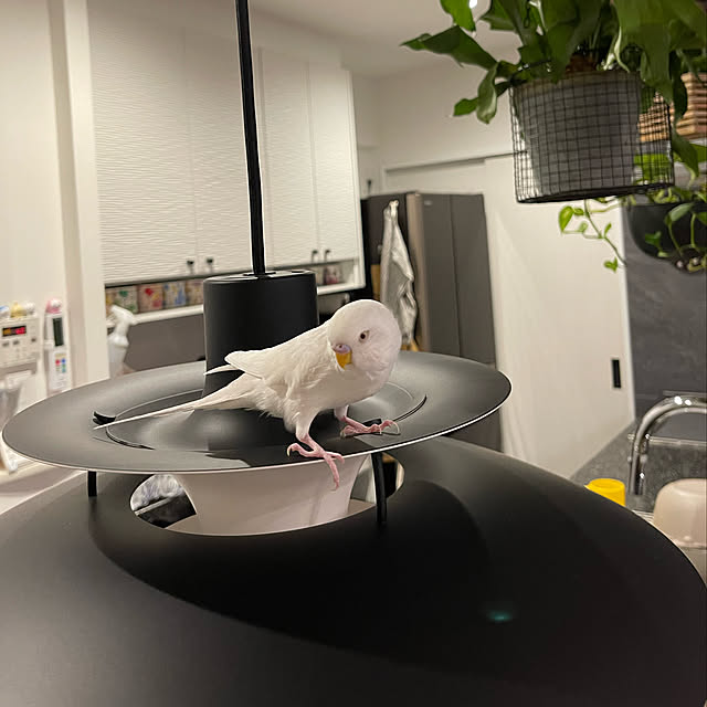 zukoteeさんの実例写真