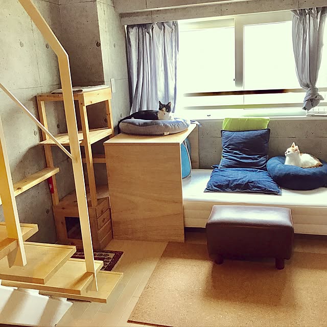 ziziguguさんの実例写真