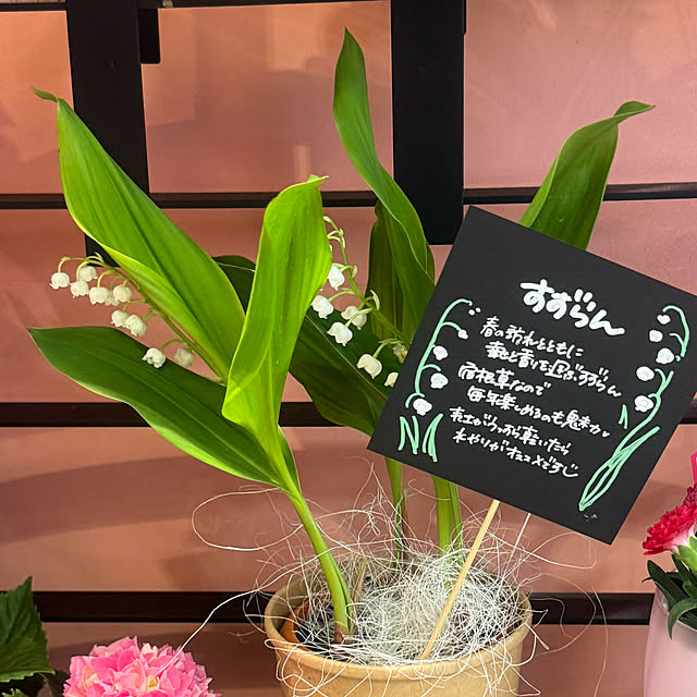 cocoさんの部屋