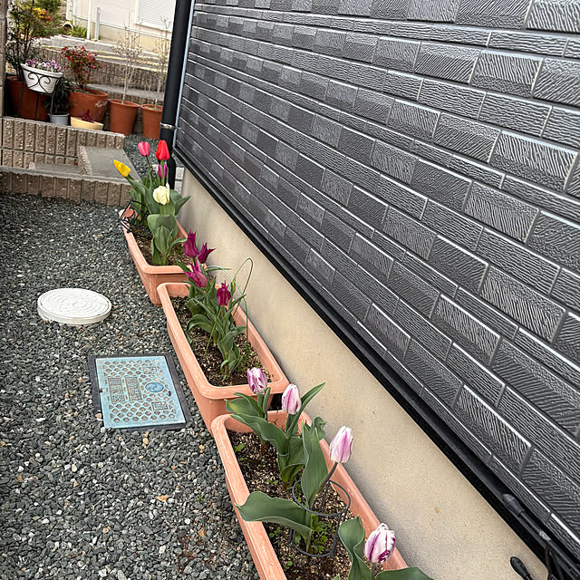 kappaさんの実例写真