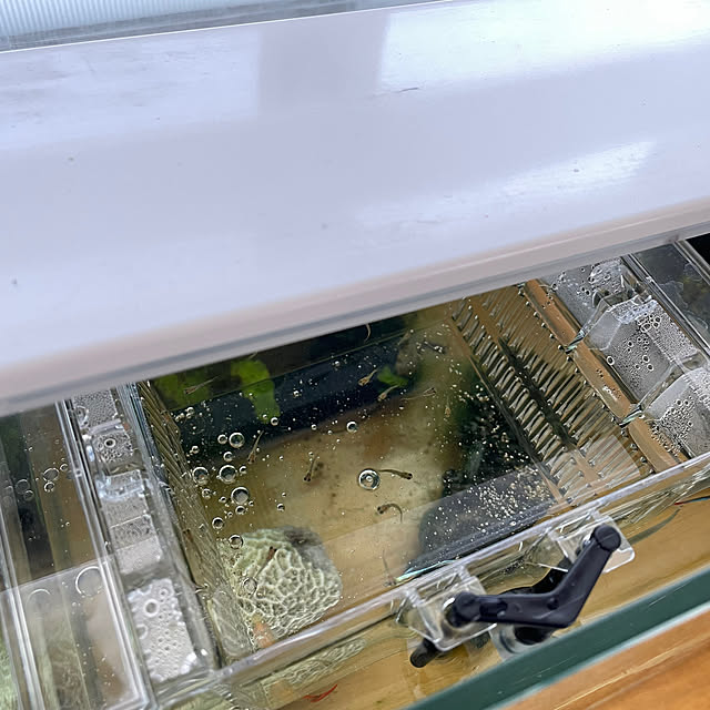 manchanさんの部屋