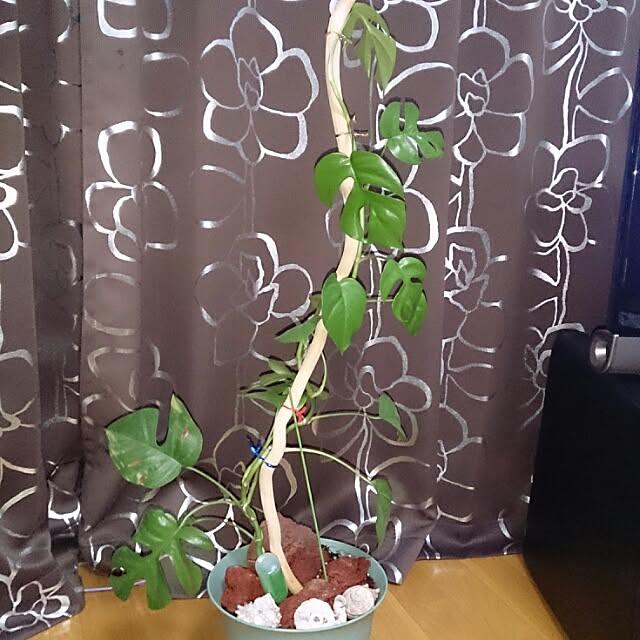 karinkoさんの実例写真