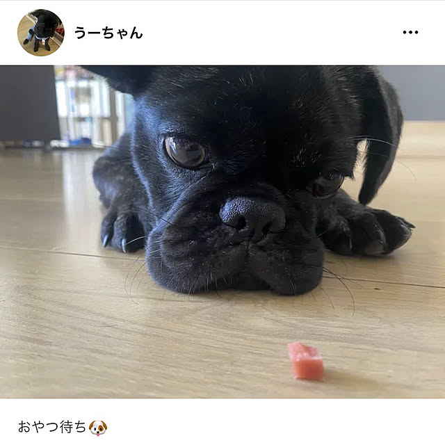 smileさんの実例写真