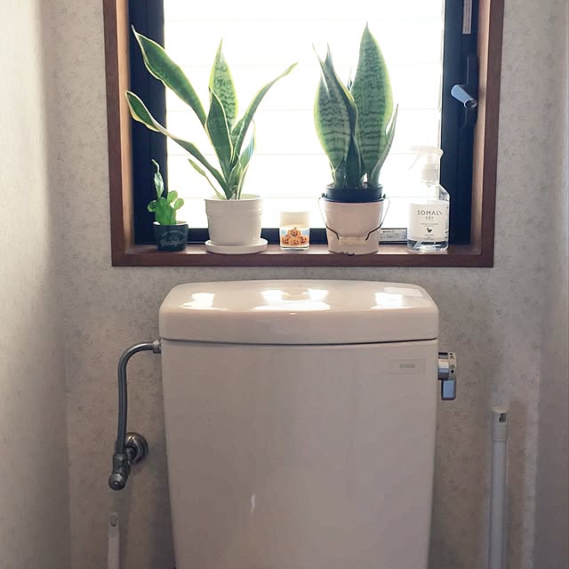 kurumeruさんの実例写真