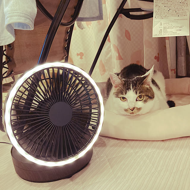 Gomaさんの実例写真