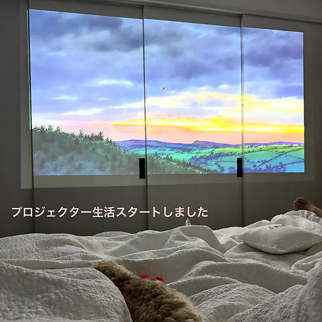 lovecatさんの実例写真