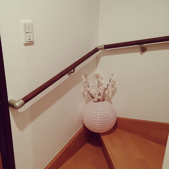 aquaさんの実例写真