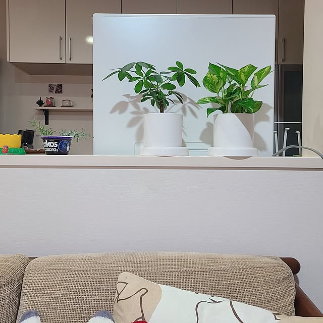 mikoさんの実例写真