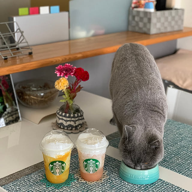 kittyさんの実例写真