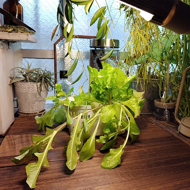 yuuu7712さんの部屋