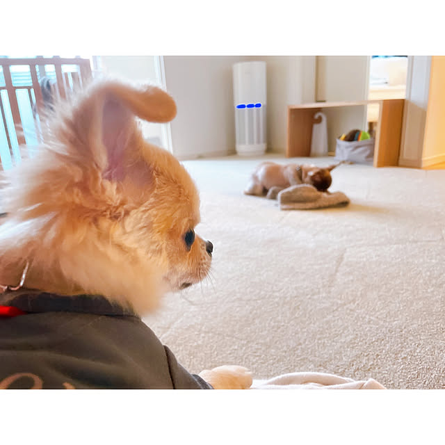 room...ronさんの実例写真