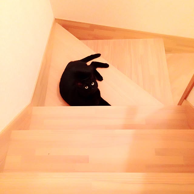mayuさんの実例写真