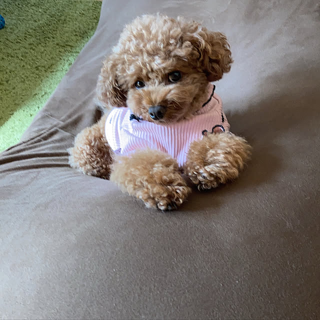 Yumiさんの実例写真