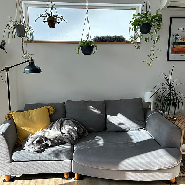 mmm.さんの実例写真