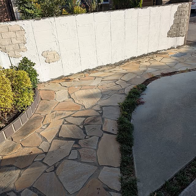 Meguさんの実例写真