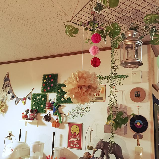 Hirokoさんの実例写真