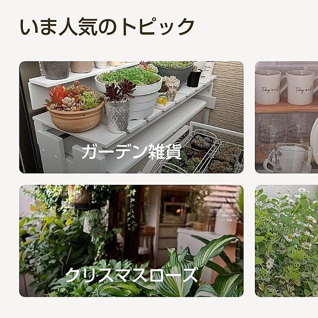 meiさんの実例写真