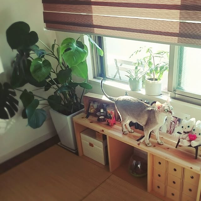 Jcさんの実例写真