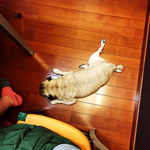 kellyさんの実例写真