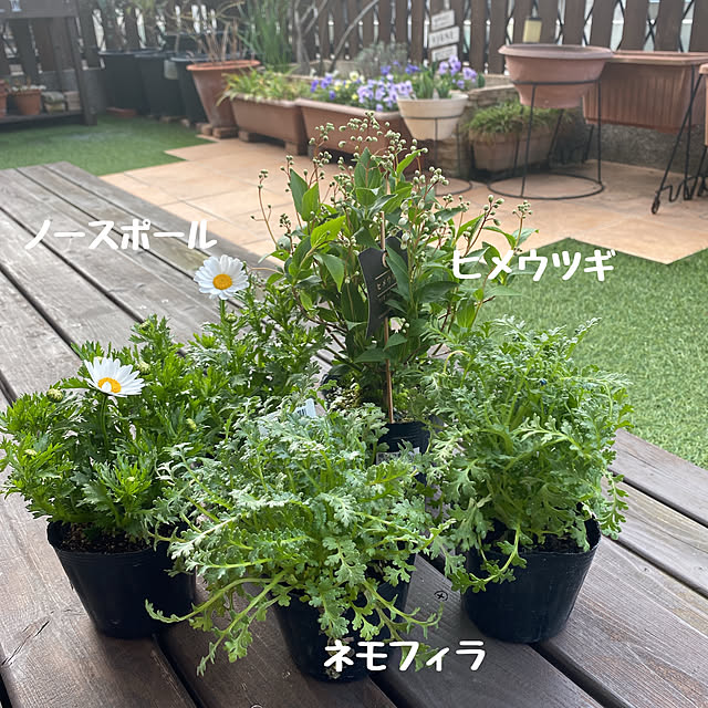 yukaさんの実例写真