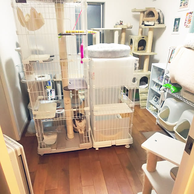 arisaさんの実例写真