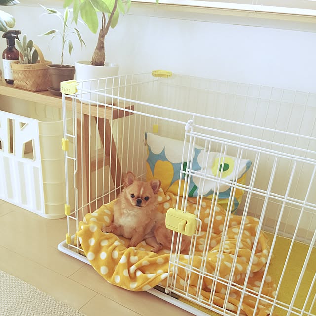 haruhinaさんの実例写真