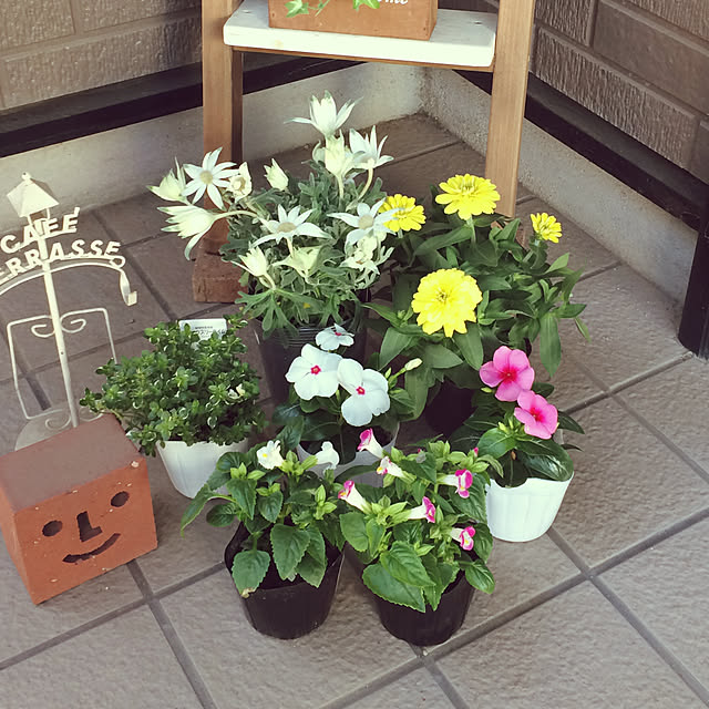 kotaさんの実例写真