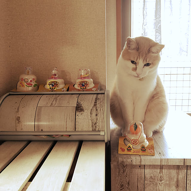 naworinさんの実例写真