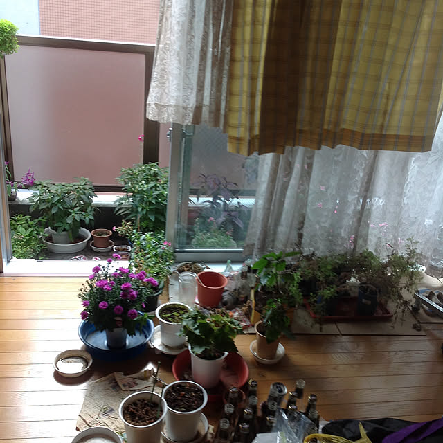 mikiandneneさんの実例写真