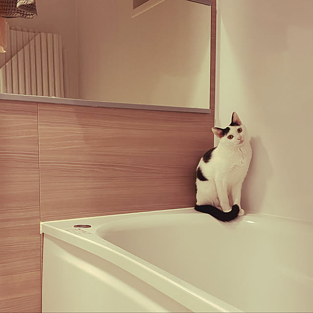 wakooさんの実例写真